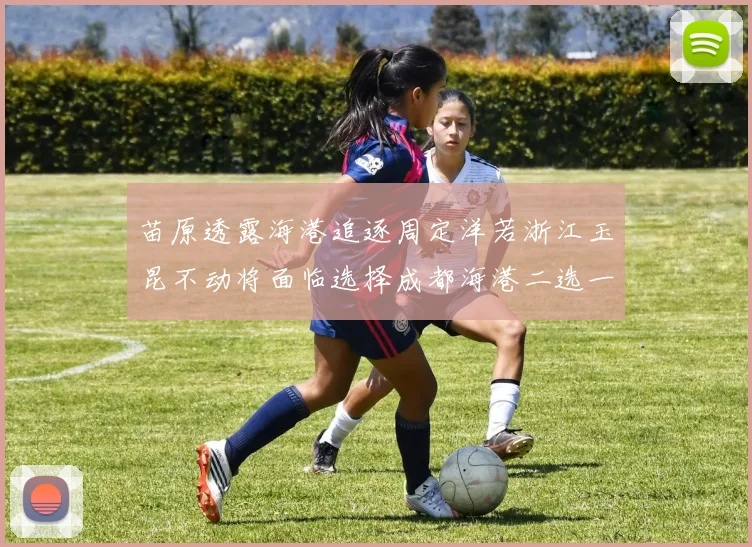 苗原透露海港追逐周定洋若浙江玉昆不动将面临选择成都海港二选一