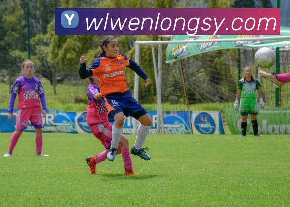 互动解说服务